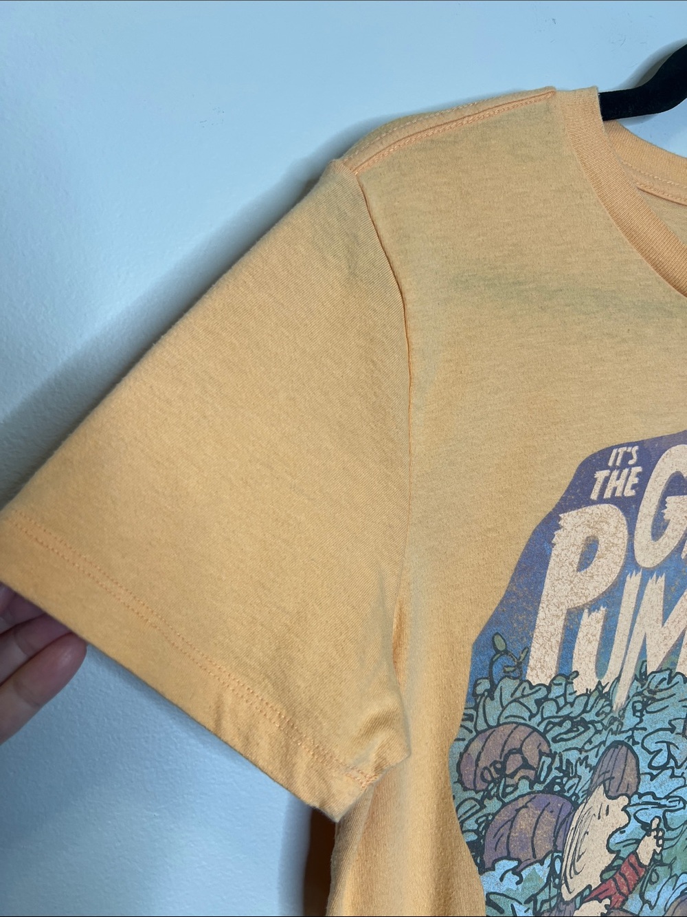 It’s the Great Pumpkin Charlie Brown and Snoopy Halloween Tee size Medium - Picture 4 of 9
